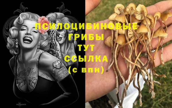 спайс Балахна